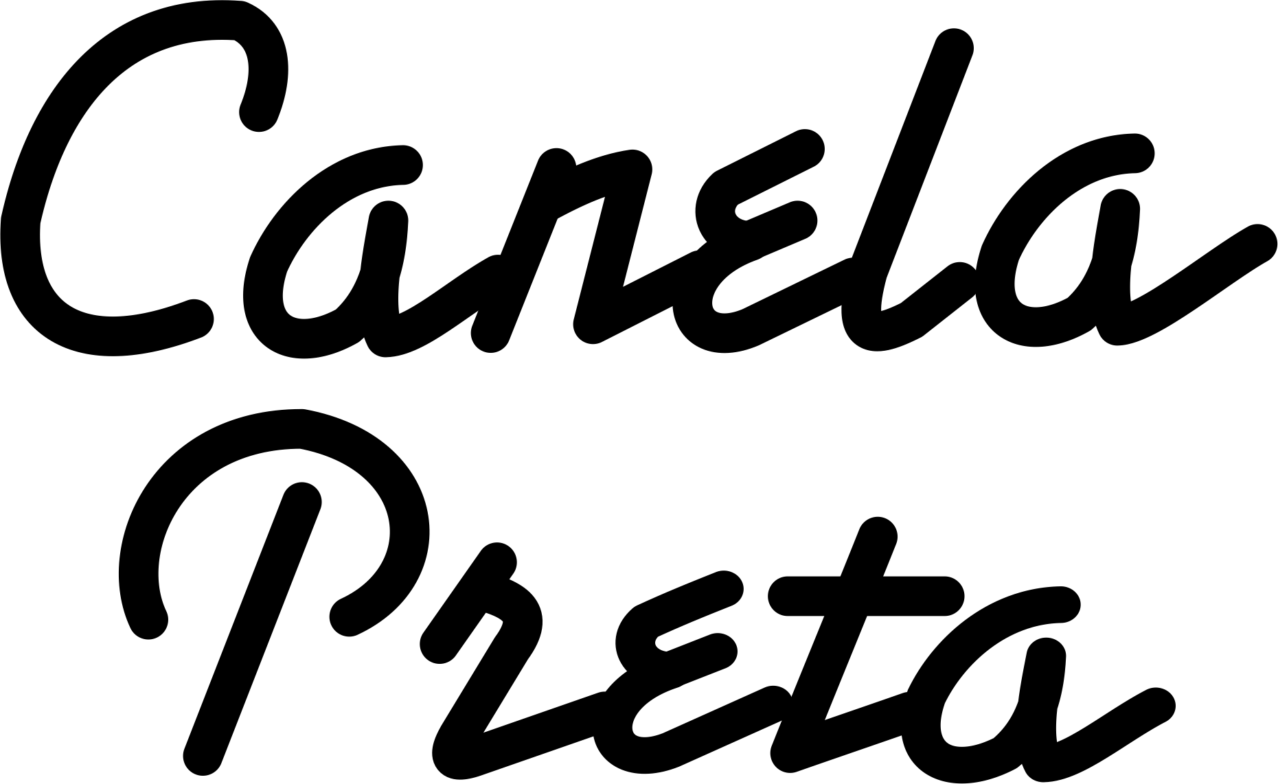 Canela preta